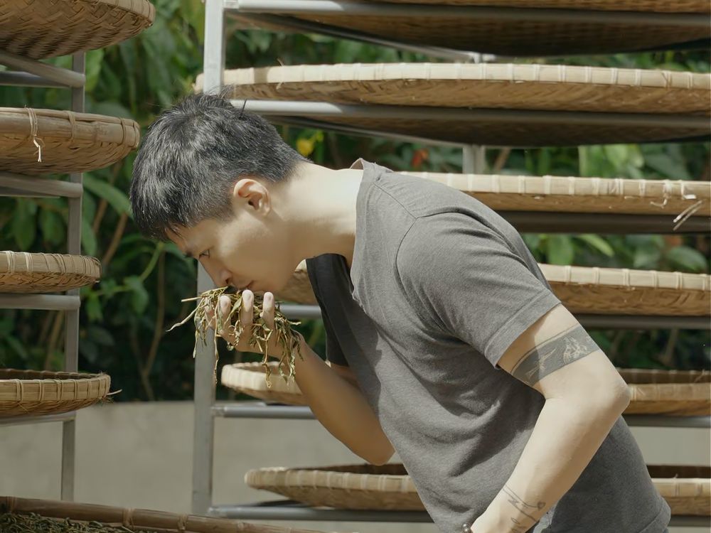 Trà Vũ ngửi hương lá chè bên giàn nong tre